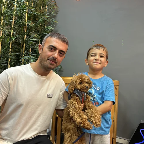 Demir Ailesi